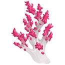 realistic-coral-4